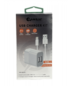 iPhone Wall Charger 