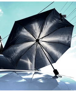 Umbrella Short BLACK Only